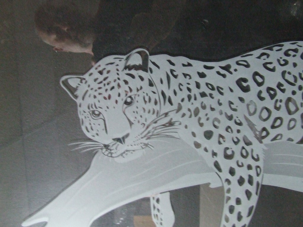Sandblasted Glass big cat