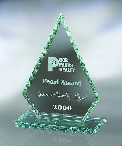 Etched glass award