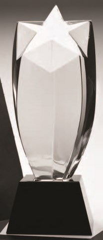 etched crystal award