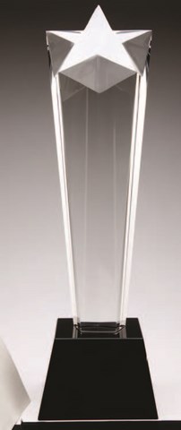 etched crystal award