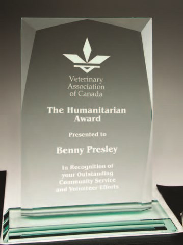 Etched glass award